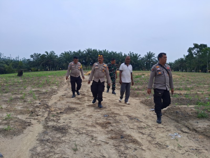 Personil Polsek Minas Cek Perkembangan Jagung Program Ketahanan Pangan di Kampung Rantau Bertuah