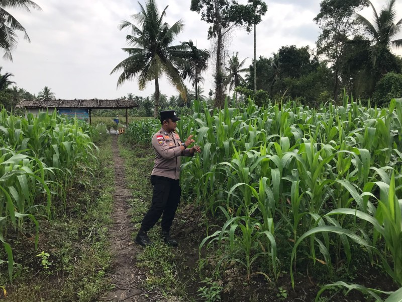 Polsek Tebing Tinggi Barat Dampingi Kelompok Tani Tunas Harapan Maju, Perkuat Program Ketahanan Pangan Nasional