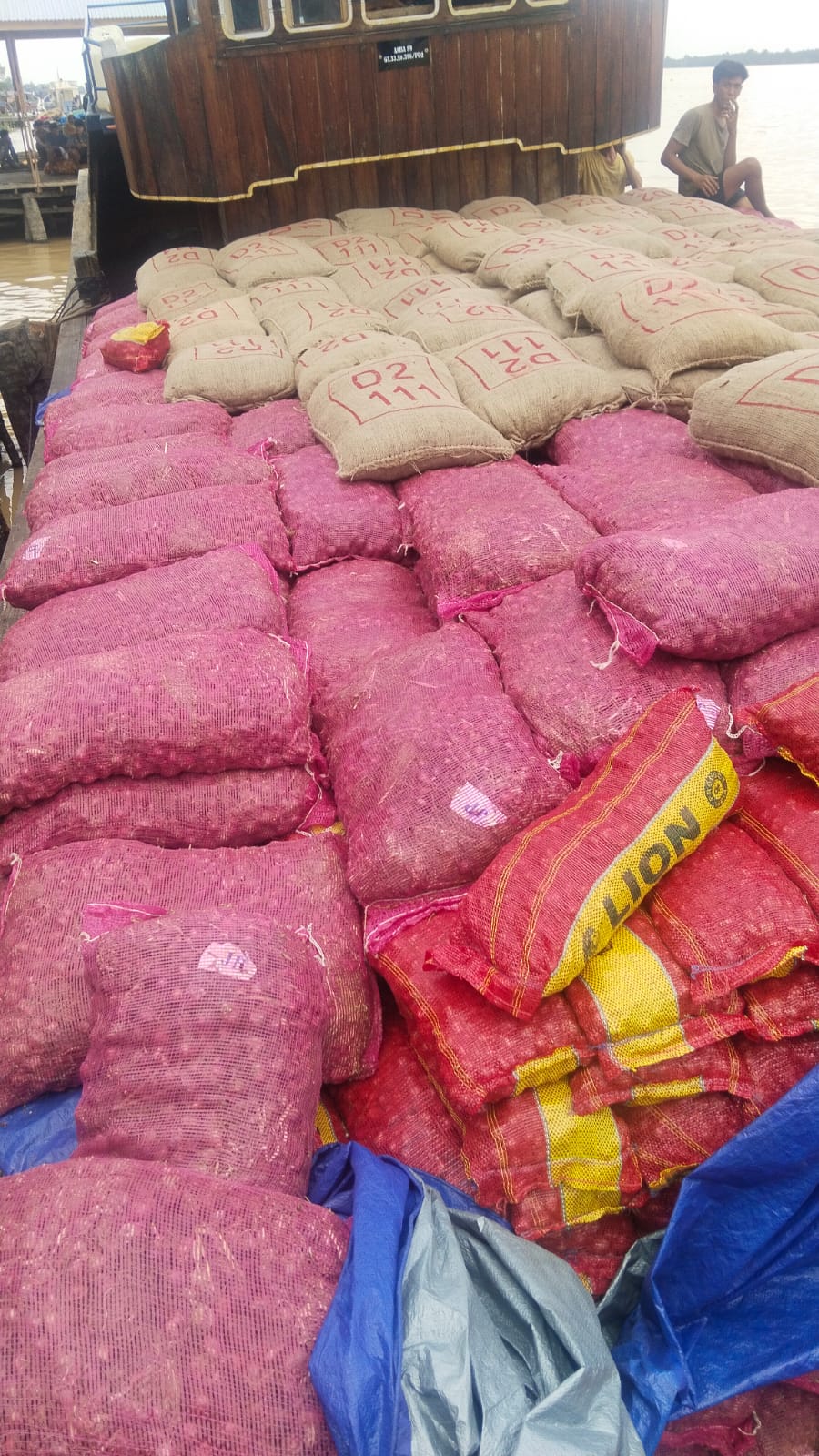 Kapal Bawa Bawang Tanpa Dokumen Diamankan, Muatan Diduga Capai 60 Ton