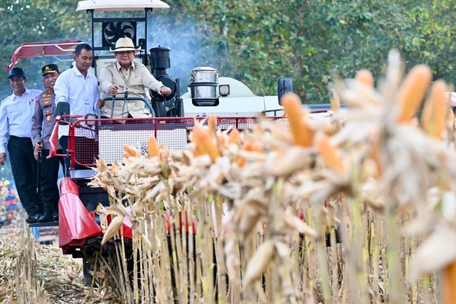 Prabowo Turun Langsung Panen Jagung di Tuban, Dorong Swasembada dan Modernisasi Pertanian