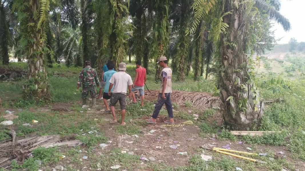 Babinsa Pelda Benriyadi Patroli Karhutla di Lubuk Umbut, Pastikan Kondisi Wilayah Aman