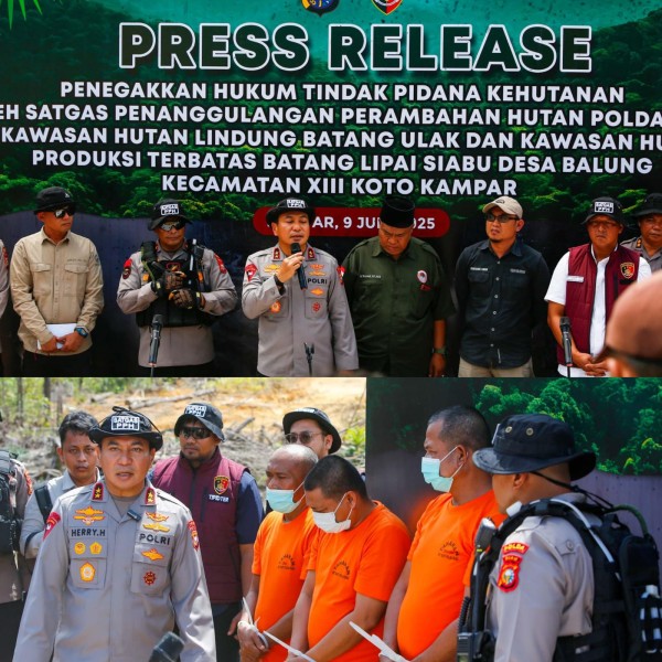 Polda Riau Bongkar Perambahan Hutan Lindung di Kampar, Empat Tersangka Diamankan