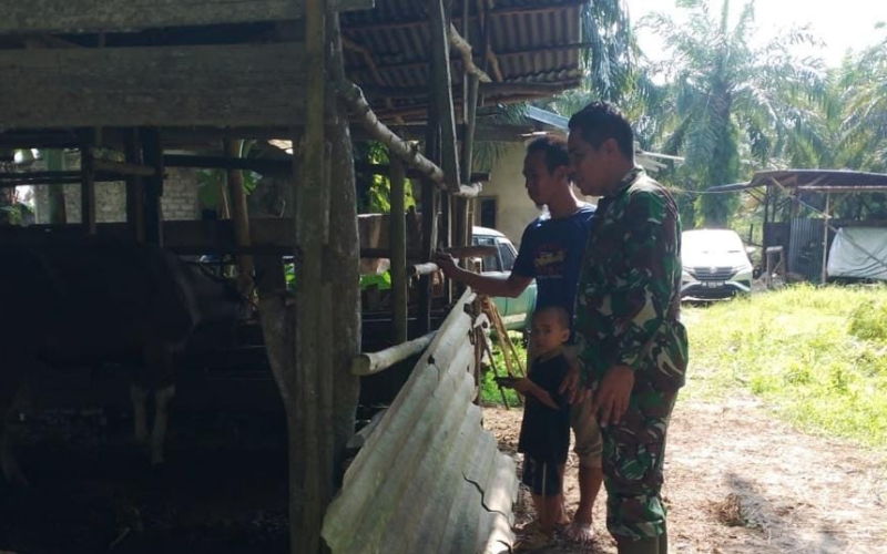 Edukasi Kesehatan Hewan Ternak oleh Babinsa Serma N Sinurat
