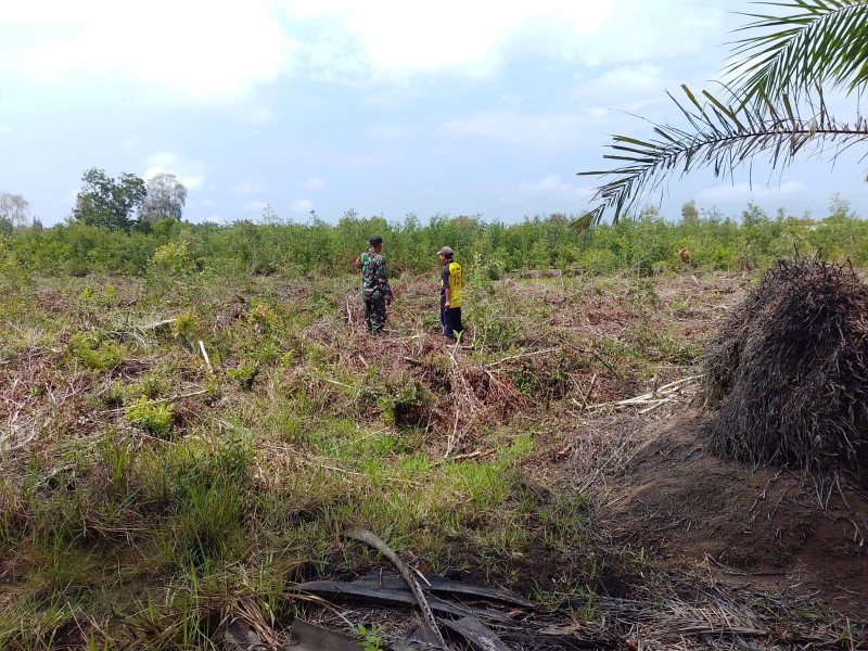 Cegah Karhutla, TNI Kodim 0320/Dumai Patroli dan Sosialisasi Larangan Bakar Lahan di Mundam