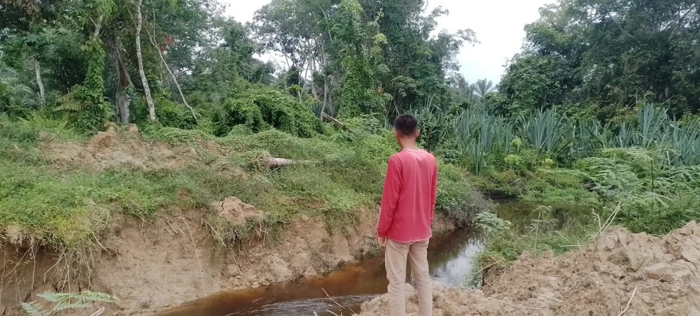 Sawah dan Kebun Warga Tanjung Bungo Terendam Karena Hujan, Pengusaha Galian C Bahkan Ikut Benahi Aliran Sungai