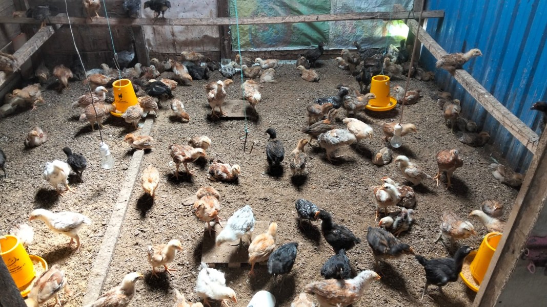 Polsek Tanah Merah Kawal Program Asta Cita Ketahanan Pangan