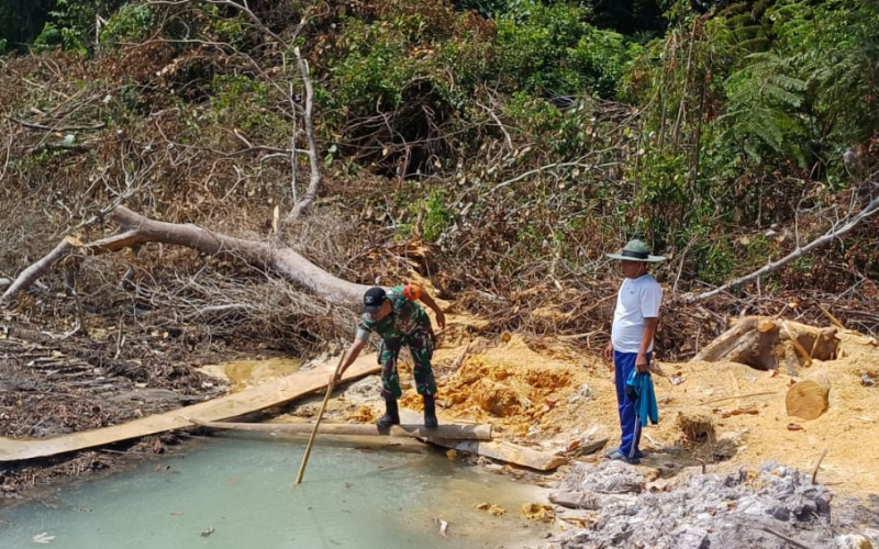 Babinsa Koramil 02 Bukit Kapur Lakukan Pendampingan Tanaman Kacang Panjang di Bukit Nenas