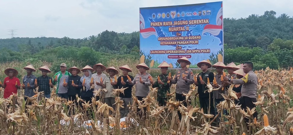 Kapolsek Teluk Meranti Hadiri Panen Raya Jagung Serentak Kuartal II Di Desa Betung