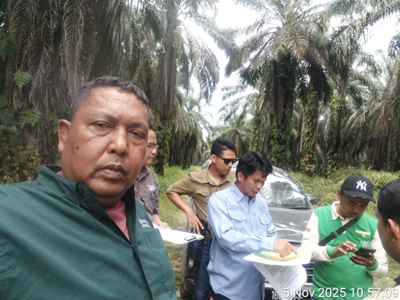 Pengadilan Negeri Bangkinang dan Yayasan Sulusulu Pelita Negri Gelar Sidang Lapangan Gugatan Kebun Ayau di Areal Hutan Produksi Terbatas