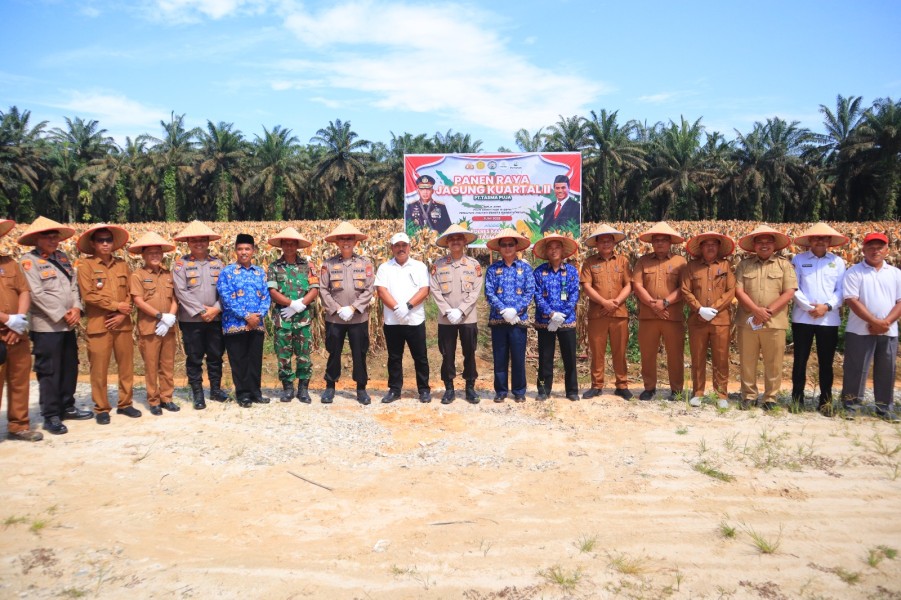 Panen Raya Jagung di Kampar:  Polres Kampar Dukung Swasembada Pangan Nasional