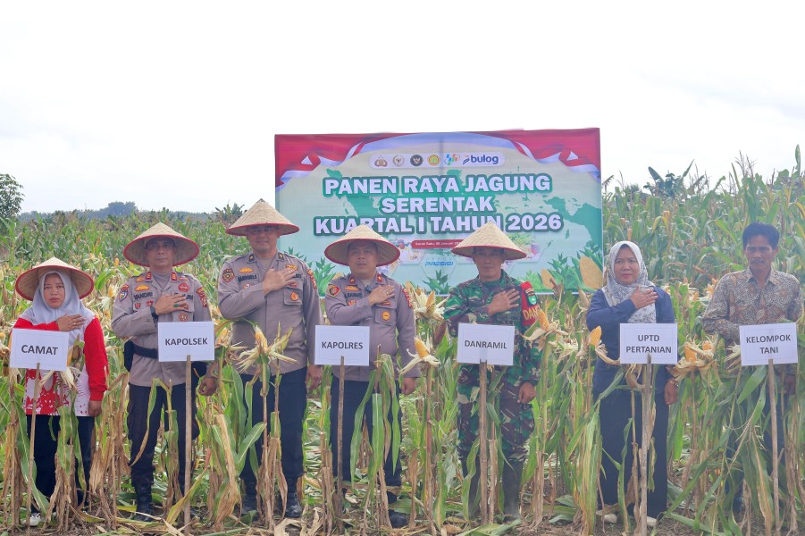Polres Pelalawan Panen  Jagung