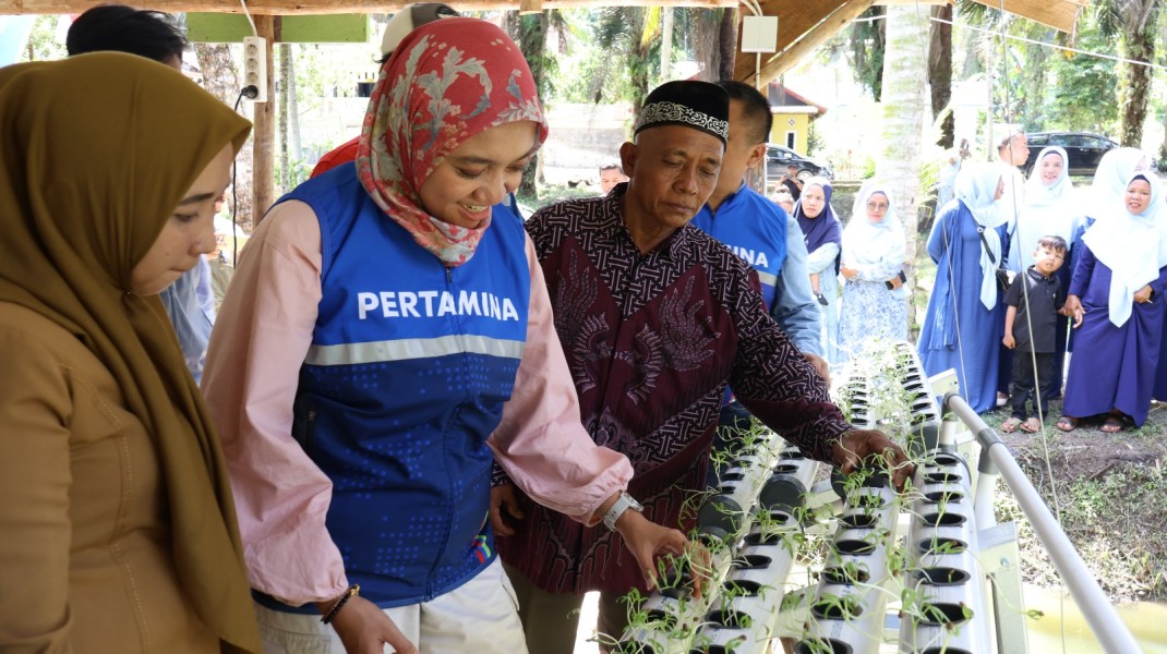 PHR Dorong Ekonomi Masyarakat Minas melalui Sektor Perikanan Berbasis Akuaponik