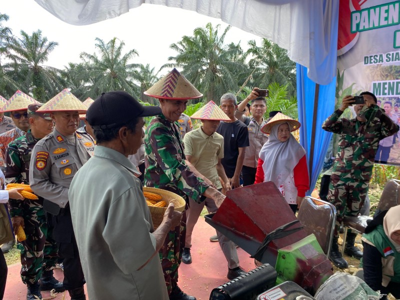 Polres Pelalawan Panen Jagung Pipil 12 Ton di Sialang Indah, Sinergi Wujudkan Swasembada Pangan Kuartal III 2026