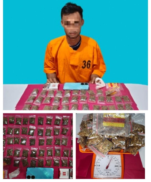 Digerebek Satresnarkoba Polres Pelalawan, Pria di Pangkalan Kerinci Ditangkap dengan 58 Paket Diduga Ganja