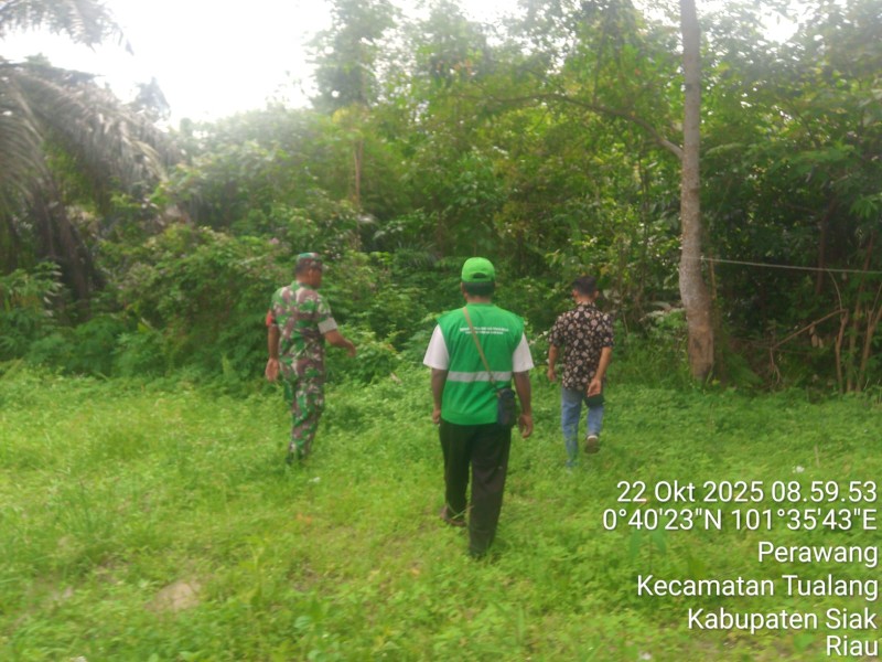 Babinsa Serka Pardosi dan Koptu T. Sitorus Gencarkan Patroli Karhutla di Perawang