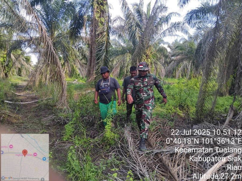 Babinsa Koramil 04/Perawang Gelar Patroli Karhutla, Tak Ditemukan Titik Api