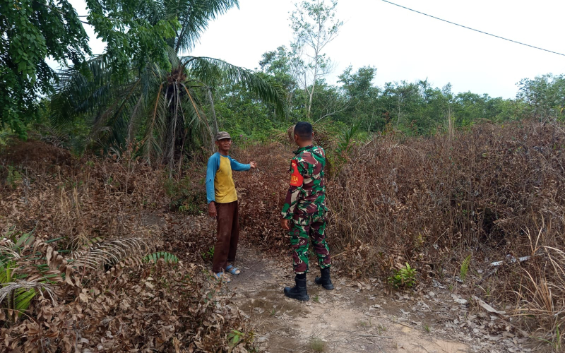 Babinsa Turun Lapangan: Patroli Karhutla, Edukasi Banjir, Hingga Pendampingan Pertanian