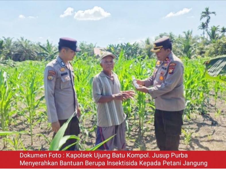 Polsek Ujung Batu Turun ke Ladang, Dukung Petani Jagung Demi Perkuat Ketahanan Pangan