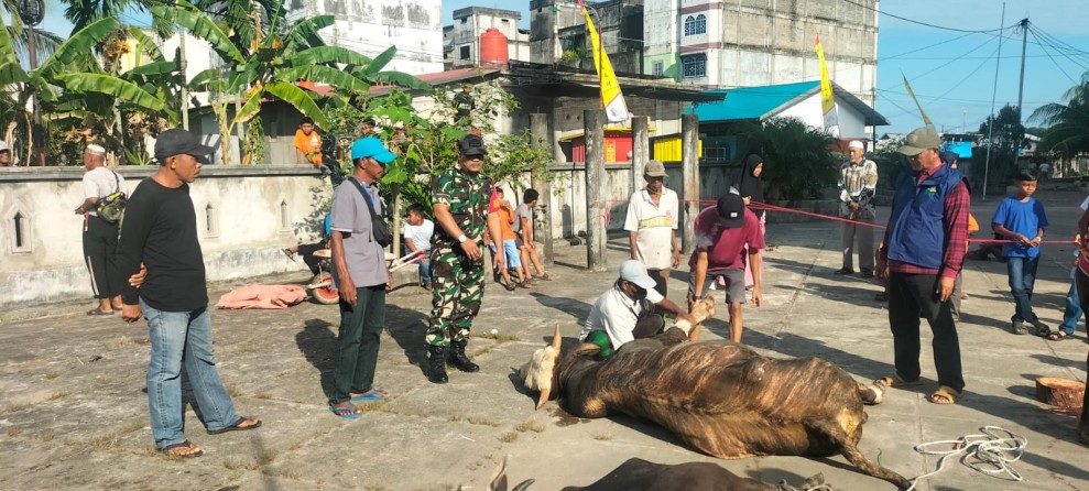 Babinsa Koramil 06/Kateman Berikan Pengamanan dan Pendampingan Pemotongan Hewan Kurban