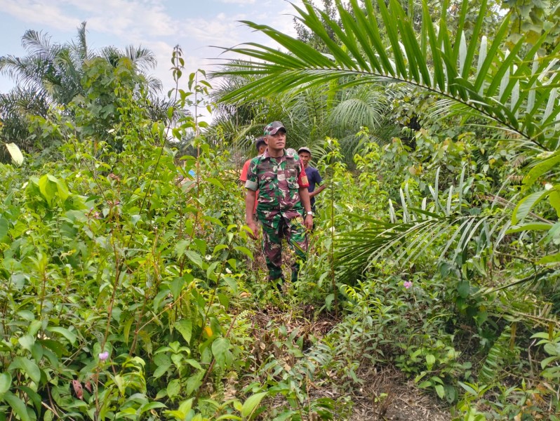 Babinsa Koramil 03/Minas Serka Risman Girsang Laksanakan Patroli Karhutla di Sungai Mandau, Titik Api Nihil