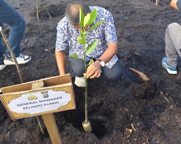Pelindo Regional 1 Dumai Ambil Bagian dalam Aksi Penanaman Mangrove Hari Lingkungan Hidup Sedunia 2026