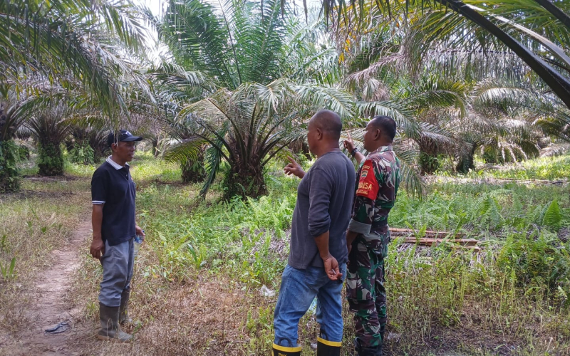 Sertu Misriyadi Patroli Pencegahan Karhutla di Kecamatan Medang Kampai
