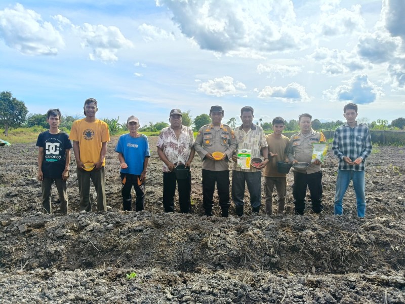 Polsek Rangsang Dukung Ketahanan Pangan, Tanam Jagung Pipil 1,5 Hektar di Teluk Samak