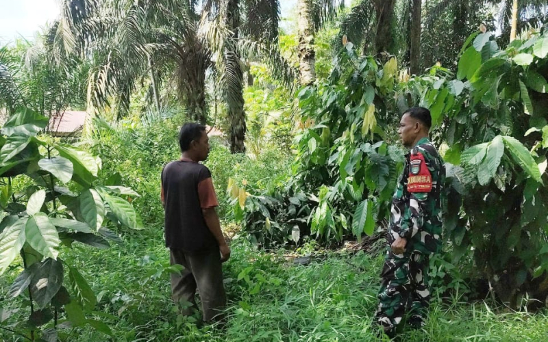 Masuki Musim Kemarau, Koramil 03/Sungai Sembilan Intensifkan Patroli Pencegahan Karhutla