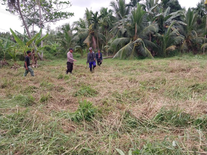 Polsek Reteh Cek Kesiapan Lahan Jagung Bumdes Garuda