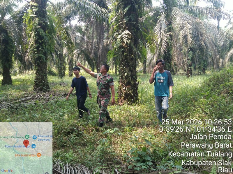 Koptu Togi Sitorus Patroli Karhutla, Pastikan Wilayah Perawang Barat Bebas Titik Api