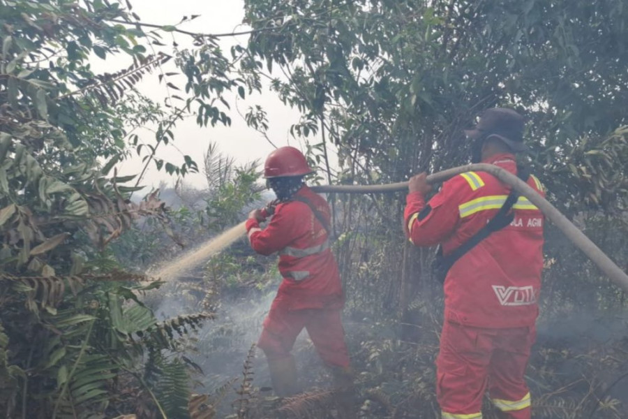 Karhutla Terjadi di 10 Kabupaten/Kota, BPBD Damkar Riau Gelar Rakor Lintas Daerah