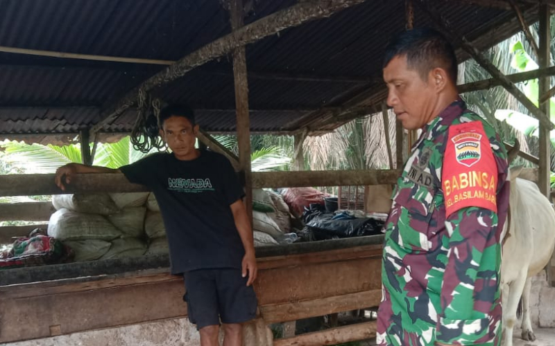 Babinsa Basilam Baru Cek Kesehatan di Peternakan Warga
