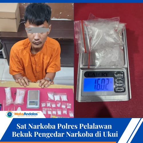 Sat Narkoba Polres Pelalawan  Bekuk Pengedar Narkoba di Pelalawan