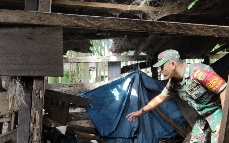 Sertu Arjun Endar Karya Nyata, Pahami Cara Mengatasi PMK