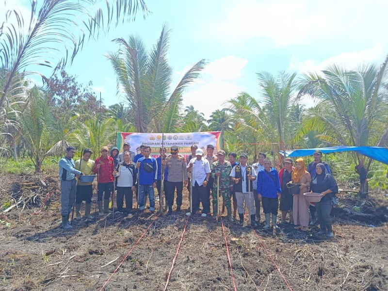 Kapolsek Pelangiran Hadiri Penanaman Jagung di Desa Teluk Bunian