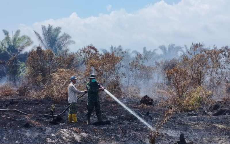 Hari Keempat Karhutla di Lubuk Gaung, Babinsa dan Tim Gabungan Intensifkan Pemadaman
