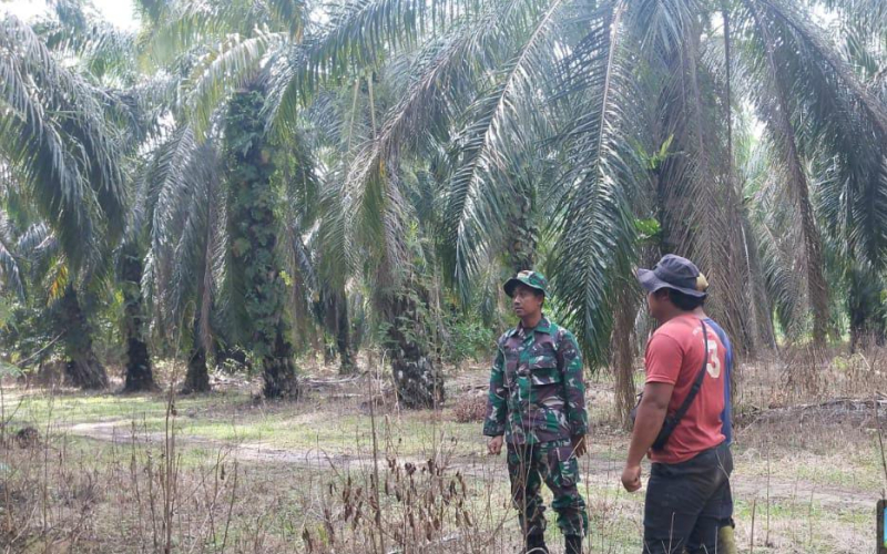Antisipasi Karhutla, Babinsa Batu Teritip Perkuat Sosialisasi Pencegahan