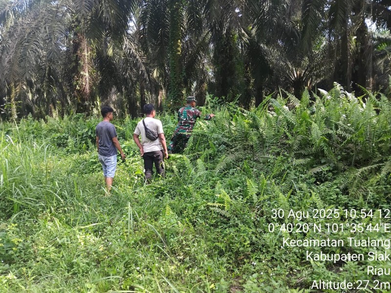 Babinsa Koramil 04/Perawang, Kopda Gunariadi, Gelar Patroli Karhutla di Perawang Barat