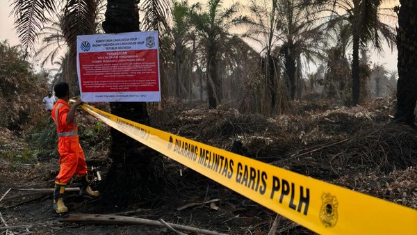 Imbas Karhutla, Kementerian Lingkungan Hidup Segel 4 Perusahaan dan Tutup 1 Pabrik Sawit.