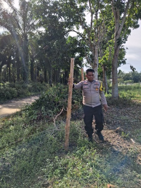 Bhabinkamtibmas Polsek Minas Cek Calon Lahan Program Ketahanan Pangan Nasional Berupa Tanaman Jagung Pipil di Rantau Bertuah