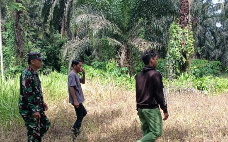 Patroli, Babinsa Cegah Karhutla di Kelurahan Lubuk Gaung