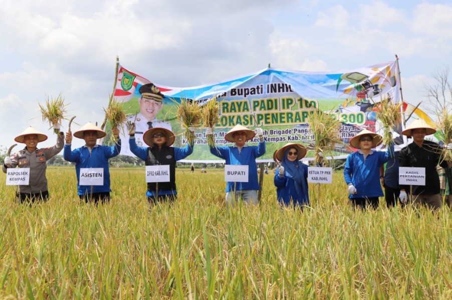 Panen Raya IP 300 di Kempas, Bupati Inhil Optimis Pertanian Daerah Terus Meningkat