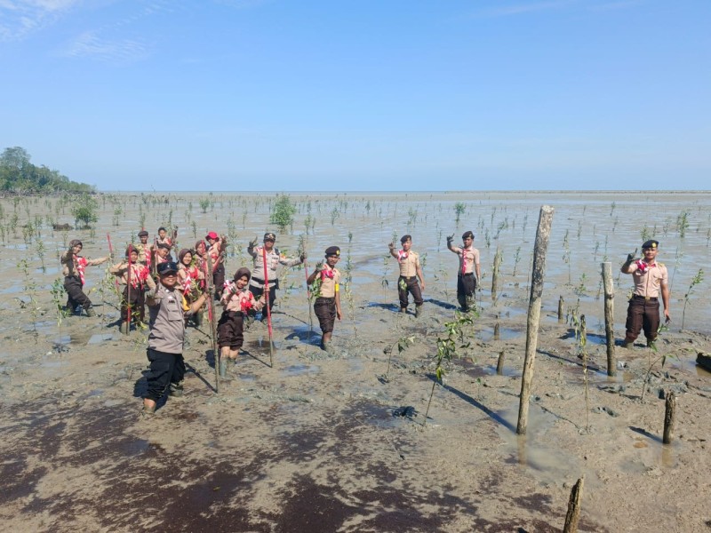 Green Policing di Rangsang Pesisir: Polres Meranti dan Pramuka Tanam Mangrove Cegah Abrasi