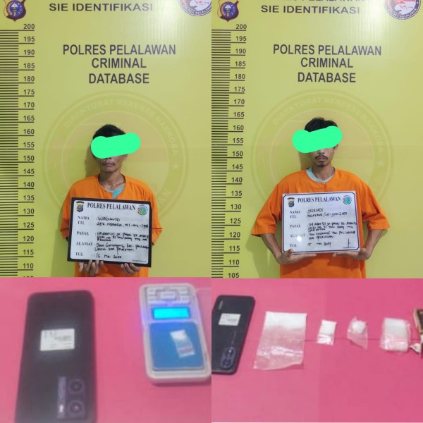 Gagalkan Peredaran Narkoba di Perkebunan Sawit, Satresnarkoba Polres Pelalawan Tangkap Dua Pengedar