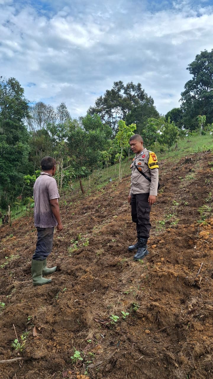 Polsek Minas Cek Kesiapan Lahan Program Ketahanan Pangan Jagung Pipil di Minas Jaya