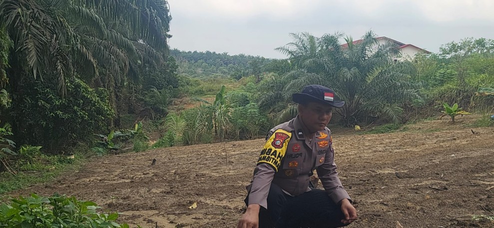 Polsek Minas Dampingi Persiapan Lahan Jagung Program Ketahanan Pangan, Kelompok Tani Mulai Bersihkan Lahan 0,5 Hektare