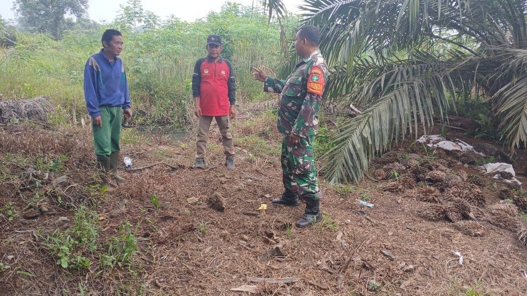 Kodim Dumai Perkuat Pencegahan Karhutla, Babinsa Imbau Warga Tak Membakar Lahan