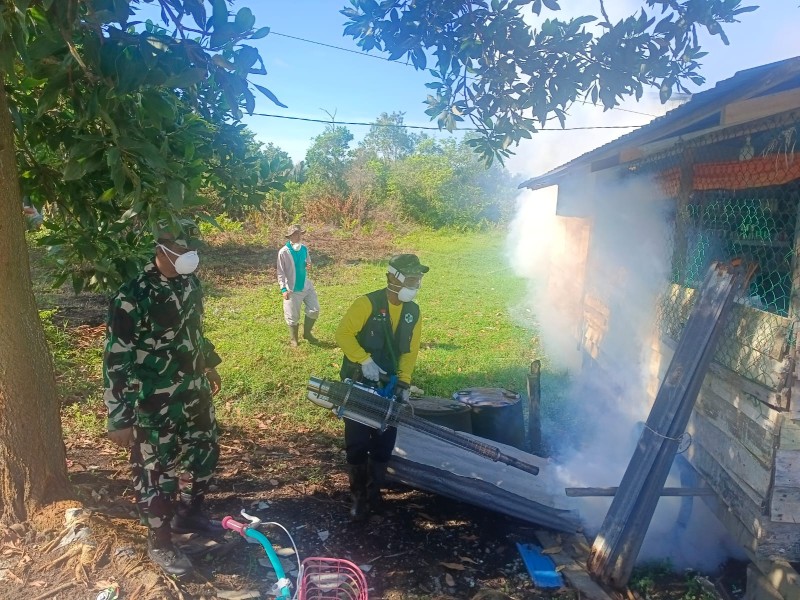 Cegah DBD, Babinsa Koramil 06/Kateman Laksanakan Fogging Bersama UPT Puskesmas di Desa Sakarotan