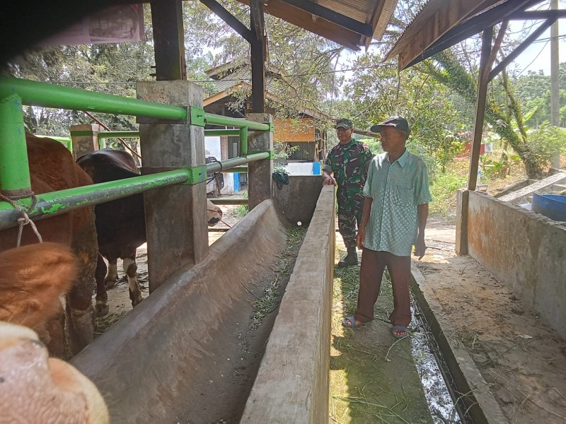 Babinsa Sertu L. Syahdanur Laksanakan Surveilans PMK di Kampung Empang Pandan