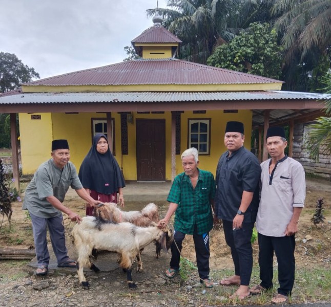 PT Usul Tambang Mandiri Salurkan Dua Ekor Kambing Qurban di Idul Adha 1446 H, Wujud Syukur dan Kontribusi Nyata Untuk Warga Desa Usul